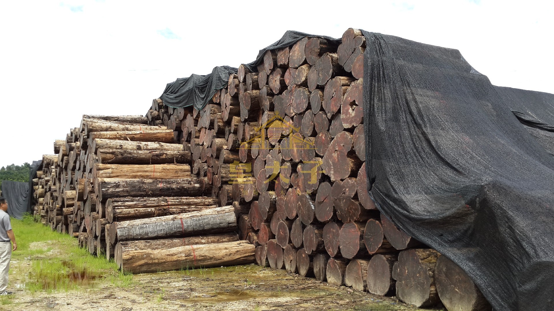20130809_115503.jpg